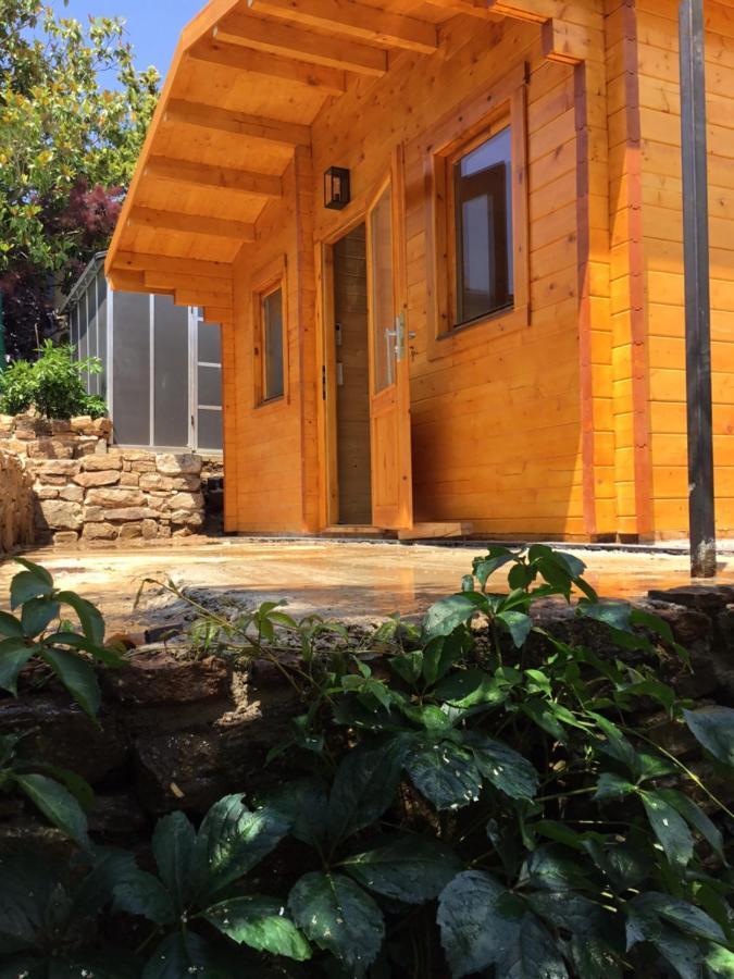 Maryvonne Chalet